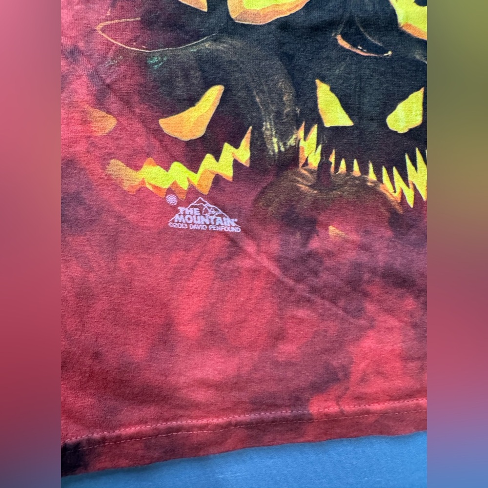 JACK O LANTERN WALL The Mountain T Shirt Scary Pumpkins Gothic Horror XL #1160 - Picture 2 of 5